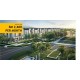 Eco Forest : Birchpark 3
